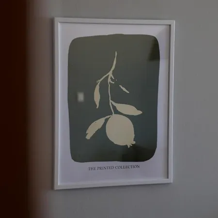 Olive Roots Appartement